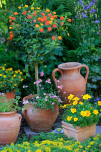 Garden decorations, various terracotta pots with flowering plants Garden decorations, various terracotta pots with flowering plants